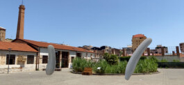 Studio Calas